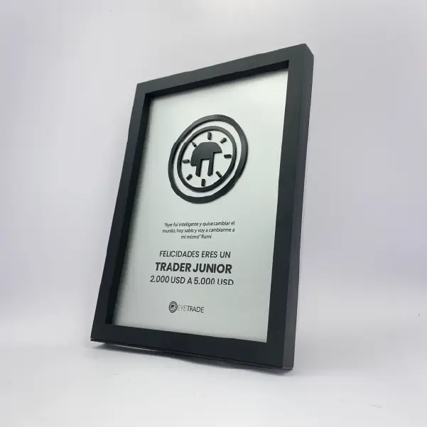 placa plateada con marco negro premium