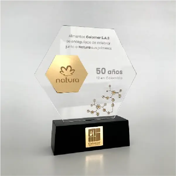 Trofeo hexagonal en acrílico para reconocimiento a empleados
